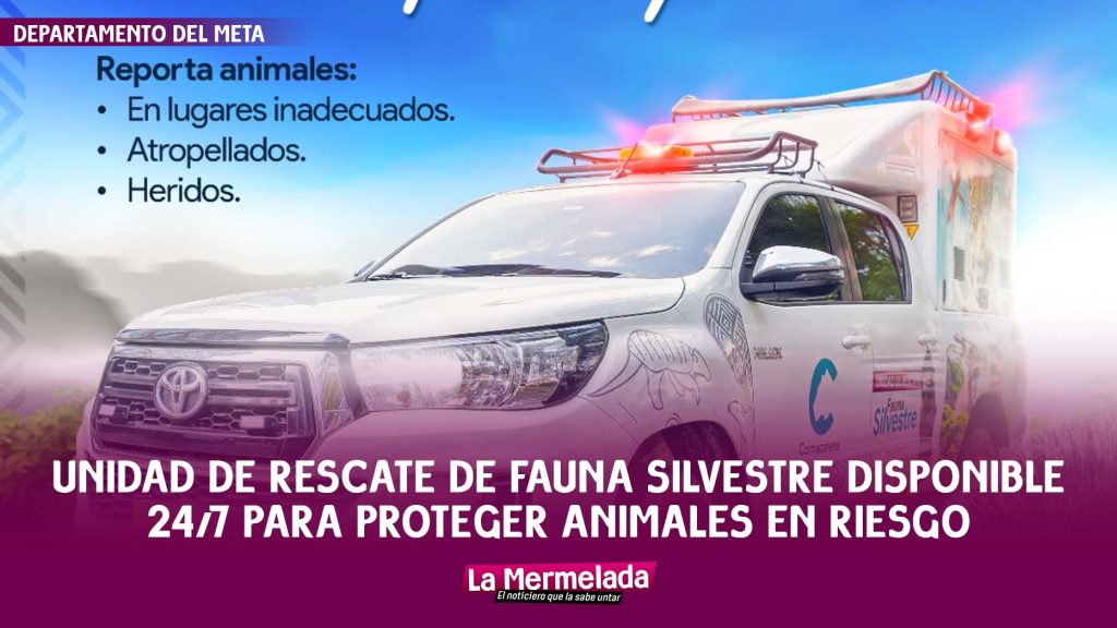 Unidad de rescate de fauna silvestre disponible 24/7 para proteger animales en riesgo