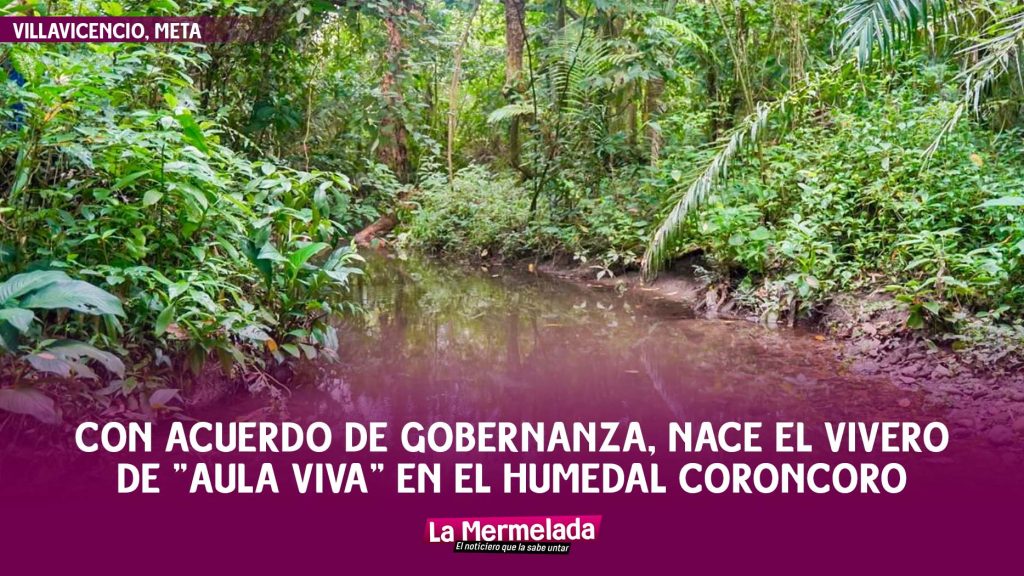 Con acuerdo de gobernanza, nace el vivero de «Aula Viva» en el humedal Coroncoro