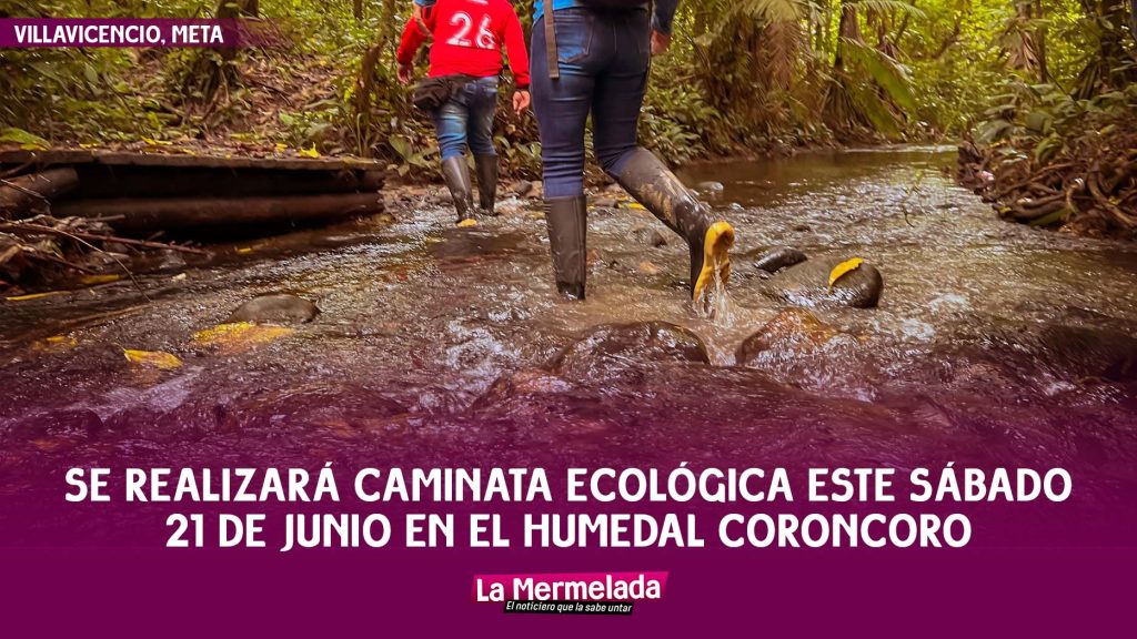 Se realizará caminata ecológica este sábado en el humedal Coroncoro