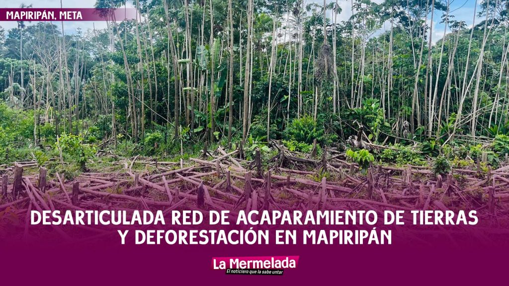 Desarticulada red de acaparamiento de tierras y deforestación en Mapiripán